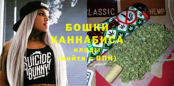 гидра Алексеевка