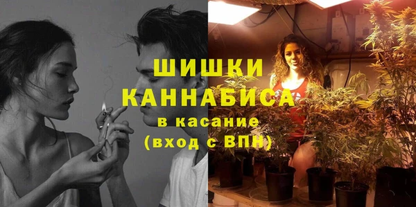 дурь Алзамай
