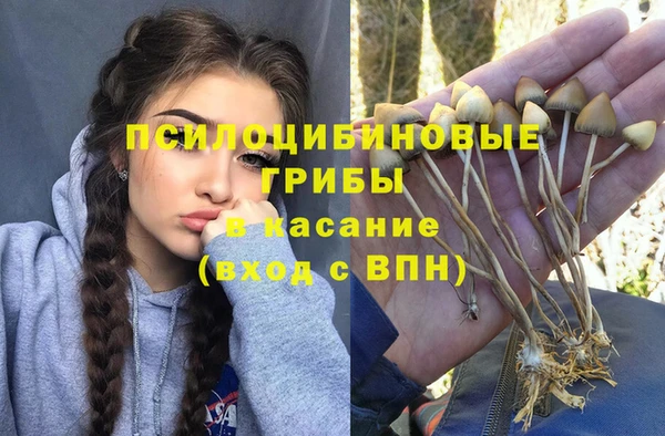 гидра Алексеевка