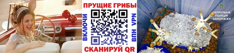 Псилоцибиновые грибы Magic Shrooms  гидра вход  Тольятти  цена наркотик 