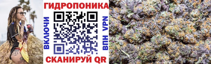 Бошки марихуана план  наркотики  OMG ССЫЛКА  Тольятти 